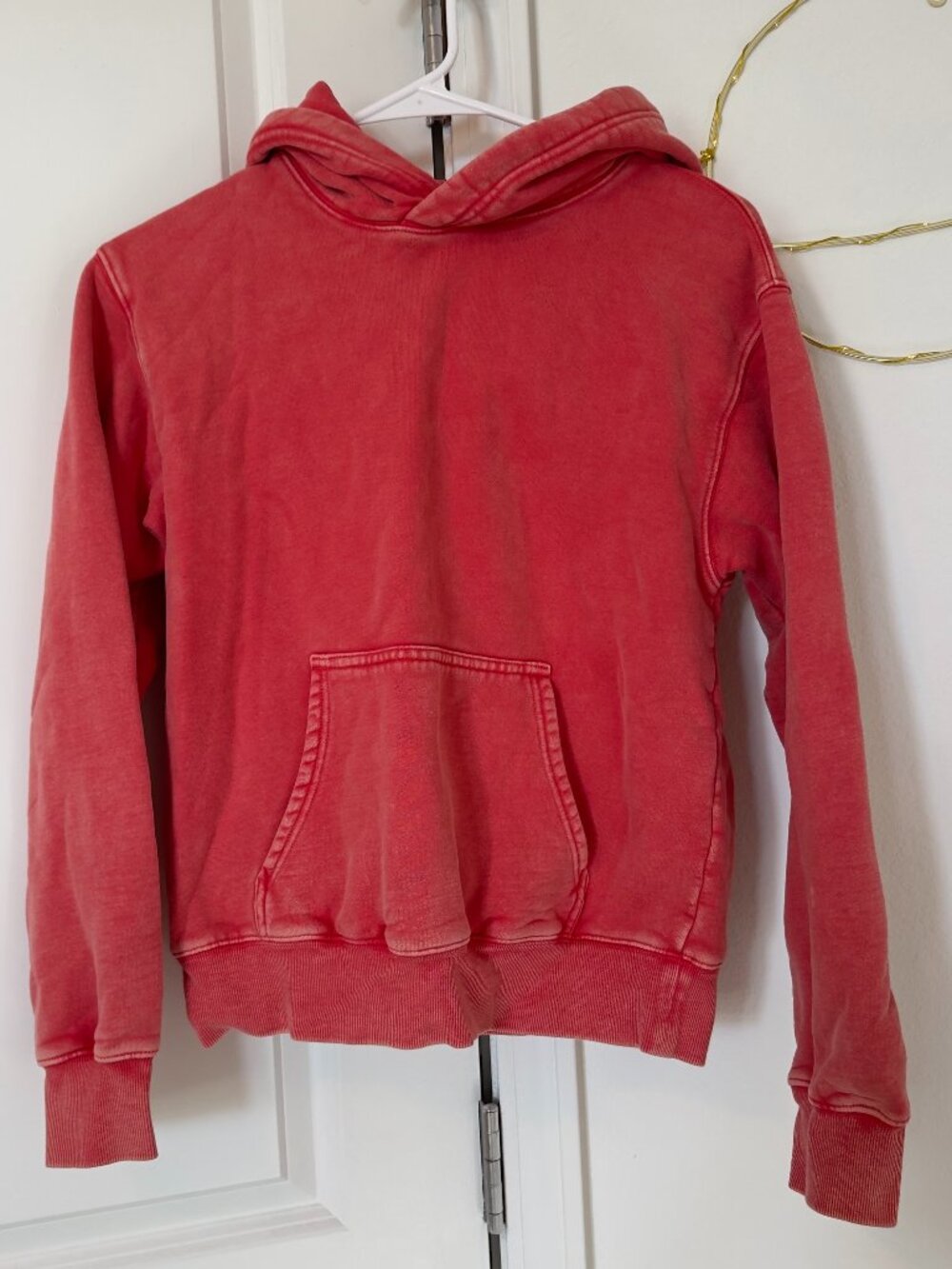 Aritzia Cozy Sweatfleece Hoodie
